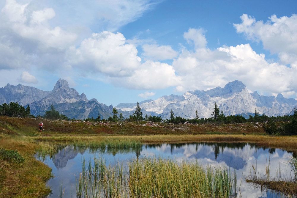 B&B Landhaus Vierthaler Filzmoos Exteriér fotografie